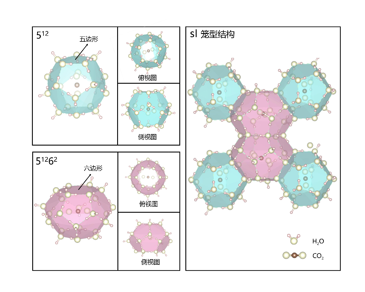 Carbon dioxide hydrate cage structures