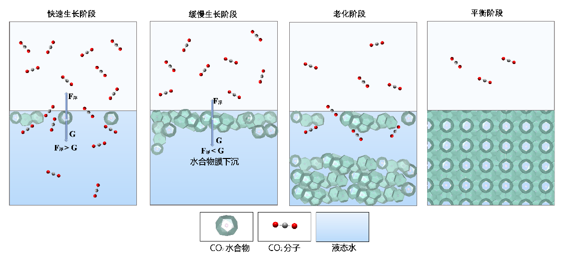 Conceptual stages of carbon dioxide hydrate formation